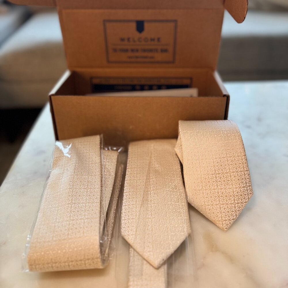 The Tie Bar Opulent Light Champagne Tie x 3